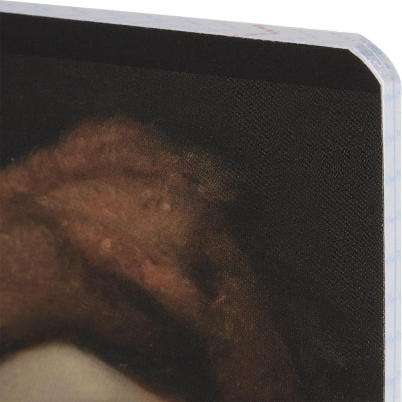 Тетрадь предметная Комус Класс Искусство, 48 л., А5, кл., ОБЩЕСТВОЗНАНИЕ