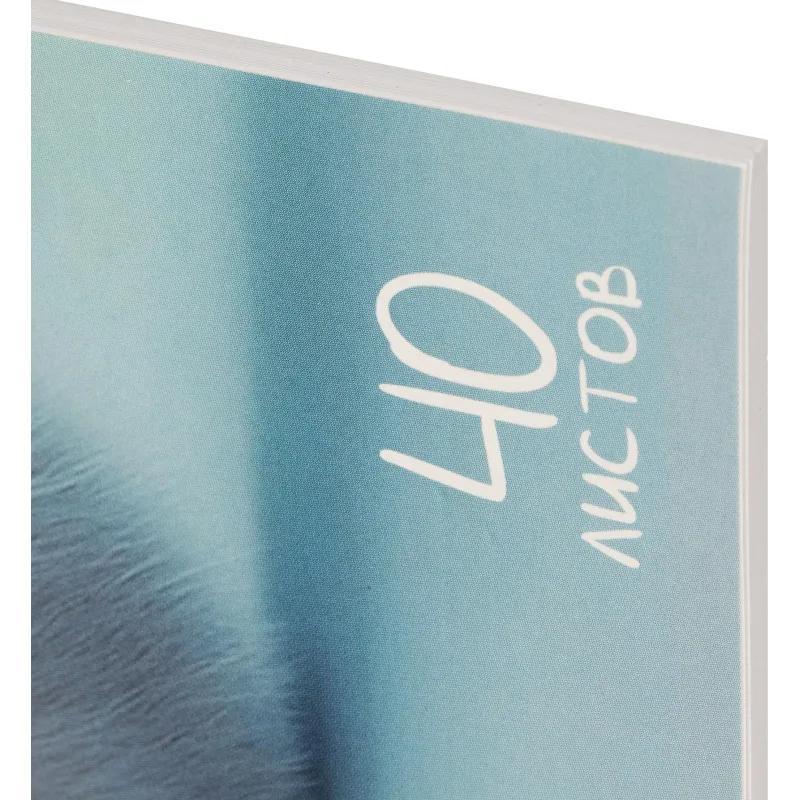 Альбом для рисования Комус Класс Пухляши,А4,40л,спираль,в асс,2шт/уп