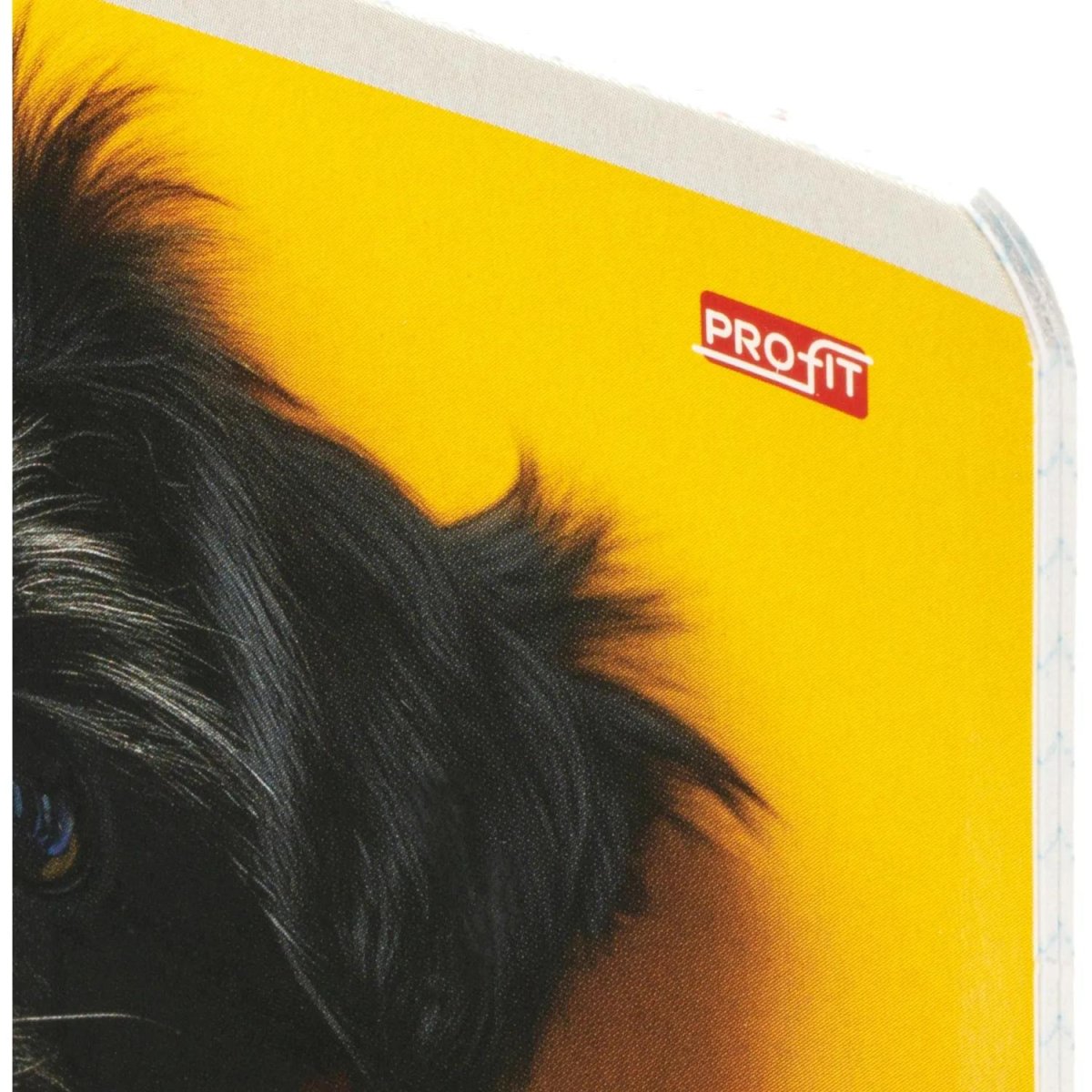 Тетрадь КЛЕТКА 18л. ОБАЯТЕЛЬНЫЕ ПЁСИКИ обл.-мелов.картон,ассорти 18-4310