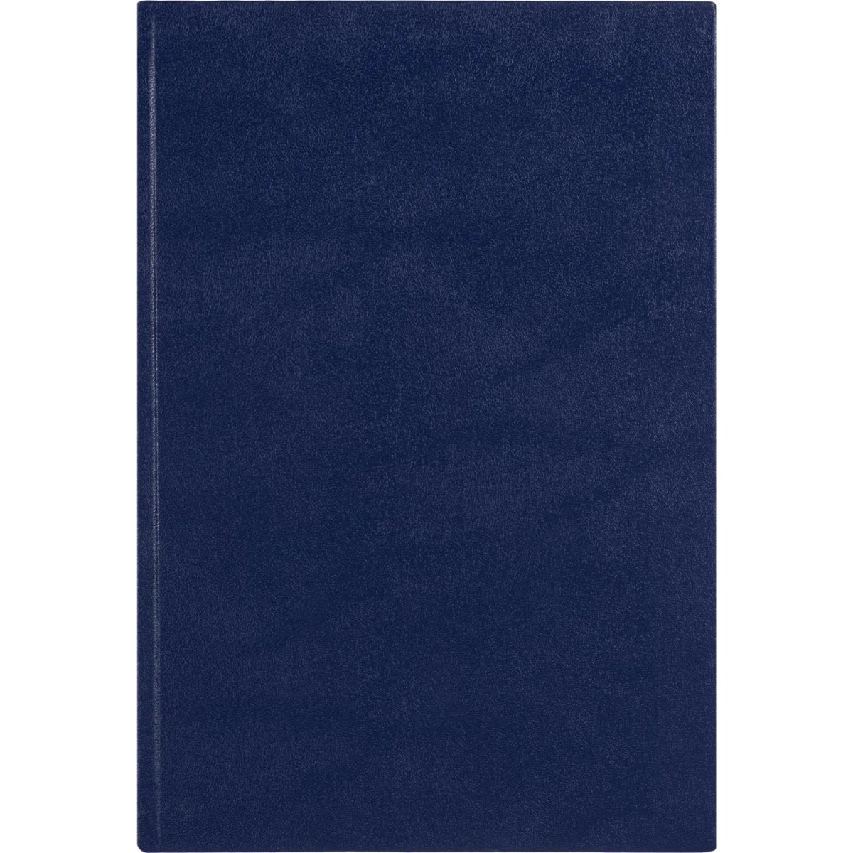 Книга учета Выбор есть А4 96л линейка блок типограф бумвинил