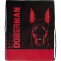 Сумка для сменной обуви цветная, ткань, дизайн СДС-3, DOBERMAN