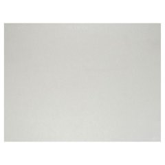 Ватман (бумага чертежная) Гознак 300л 610х8 60мм 200г СПб Гост 597