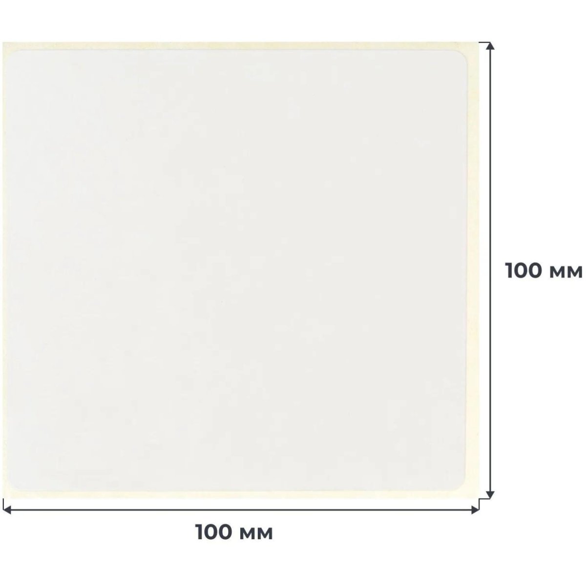 Термотрансферные этикетки ПГЛ 100х100, 1000 шт/рул,вт.76 6 рул/уп