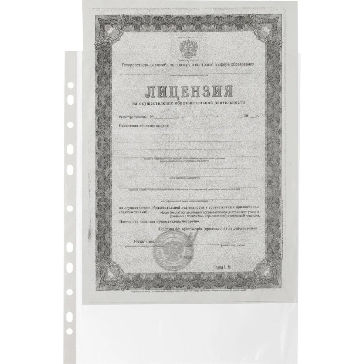 Файл-вкладыш А4 22-25мкм Выбор есть, гладкие, с перф, 100шт./уп