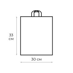Пакет с петлевой ручкой 30х33+3 (70)  Хатчард черный 50 шт/уп
