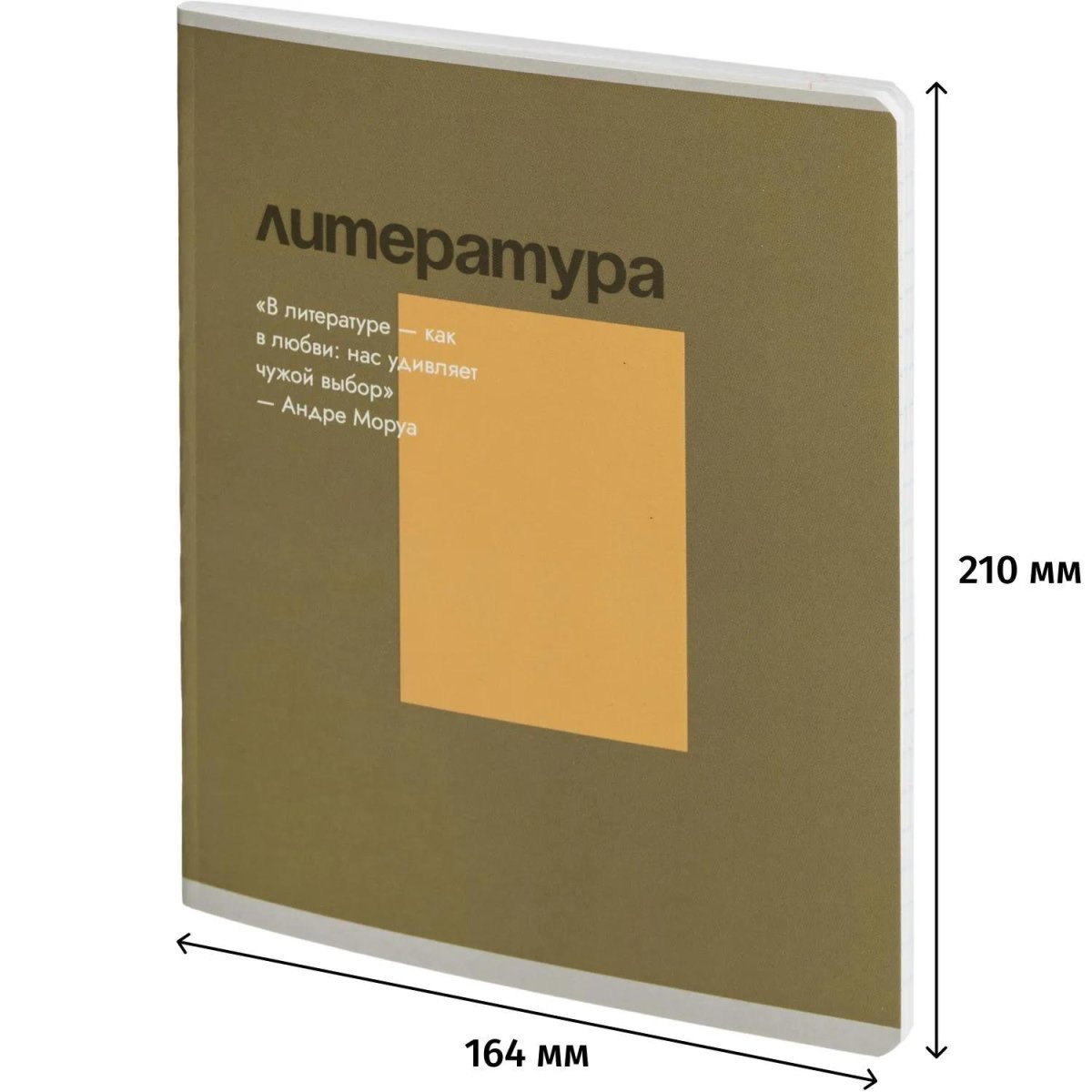 Тетрадь предметная набор Комус Класс  Минимализм 12 шт., 48., А5