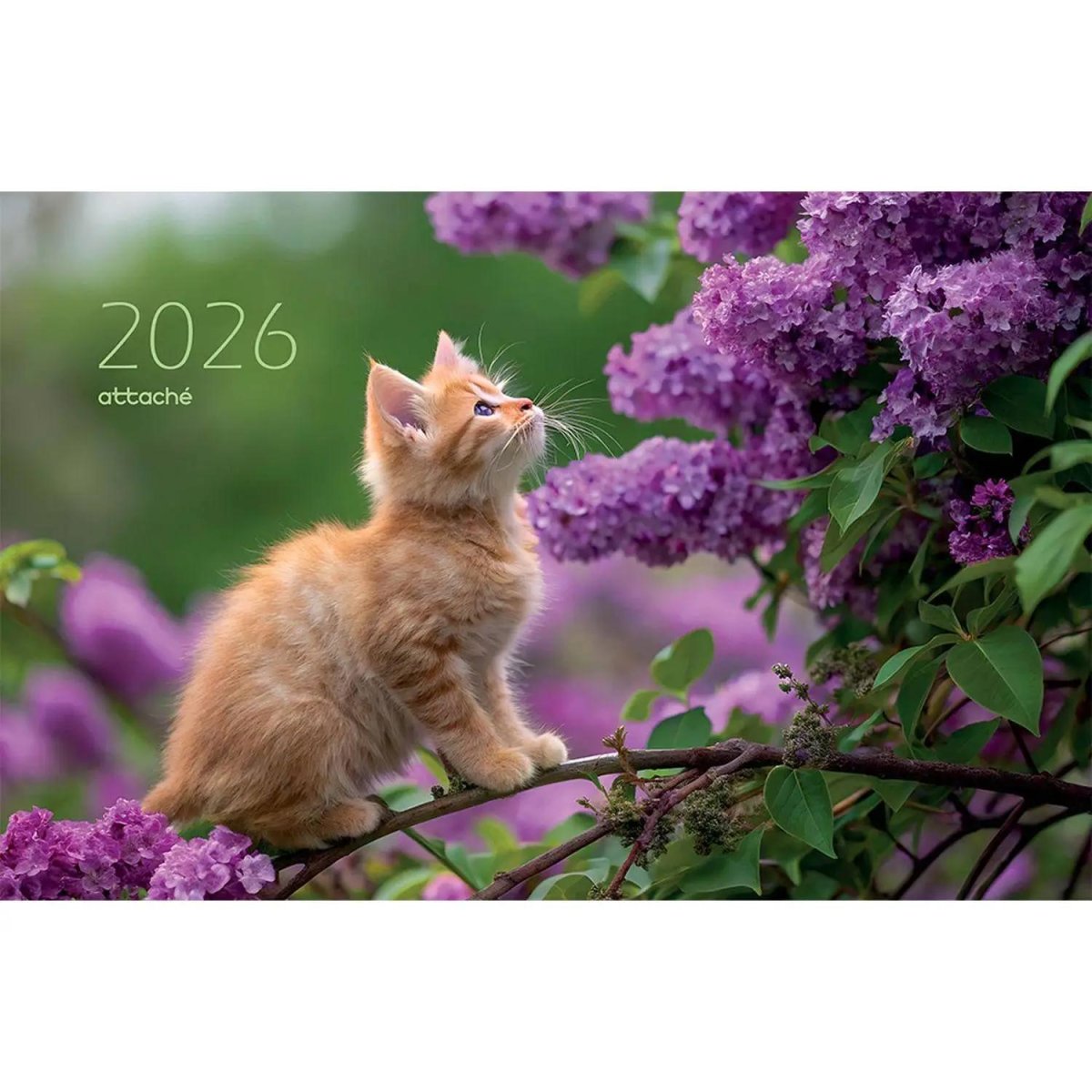 Календарь настенный 3-х блочный 2026 Attache, 305х675, Цветущая ветка, 80г
