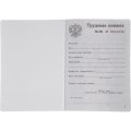 Бланк Трудовая книжка (новый 2023г)