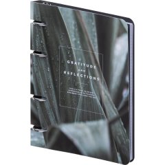 Тетрадь общая, BS, 155х212мм, 80л., клетка, кольца, Botanica, агава N4227