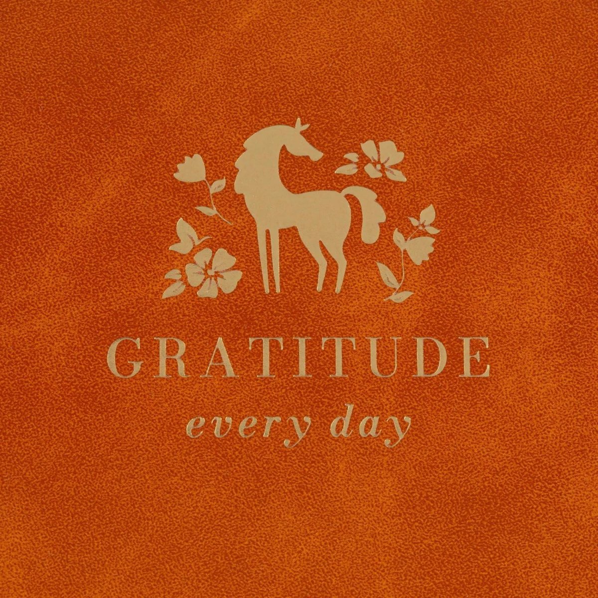 Еженедельник датированный 2026 IF 16х9см 64л, твердый, Grace I1847/l-brown