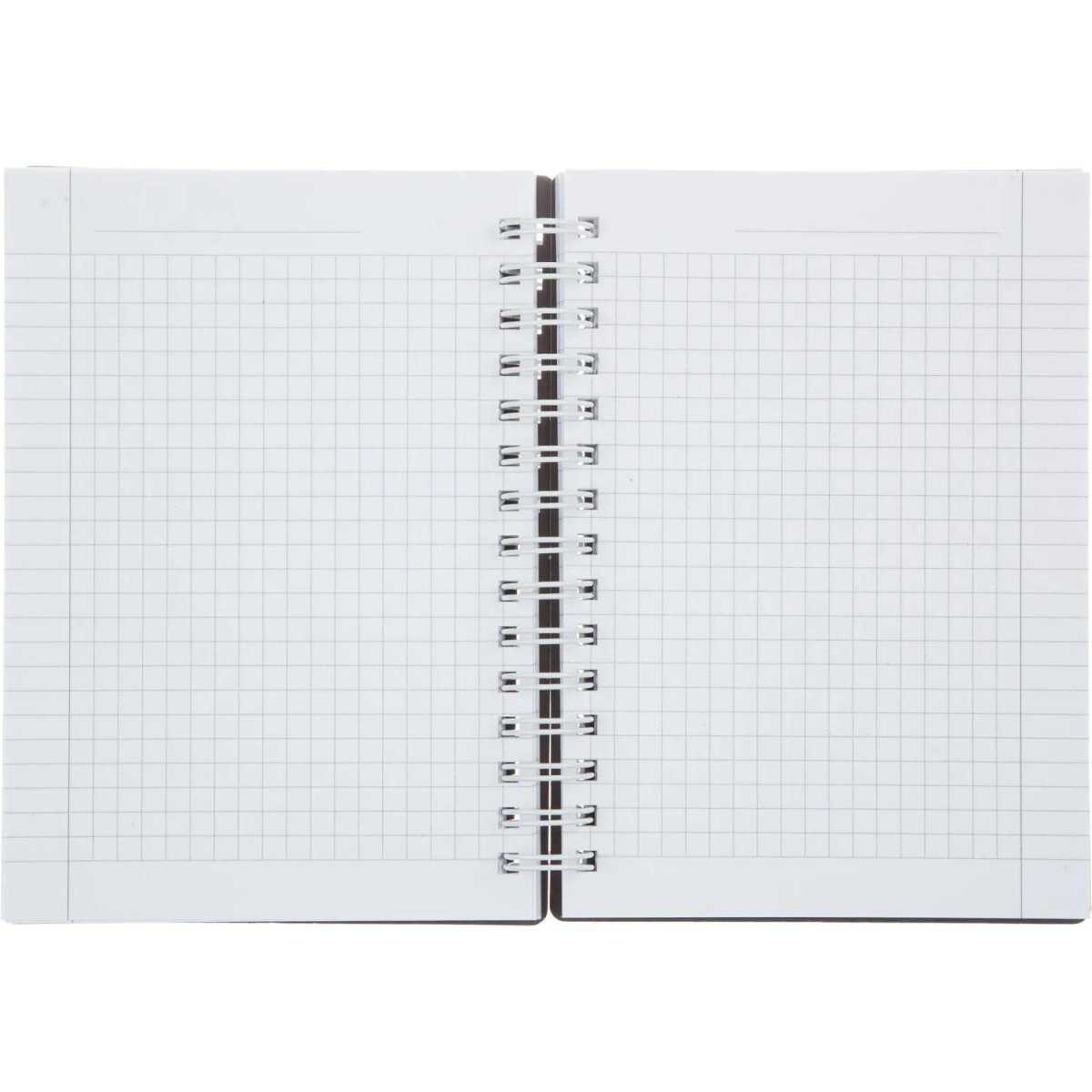 Блокнот BS, 102х142мм, 120л., клетка,  спираль. Botanica, эвкалипт, N4261