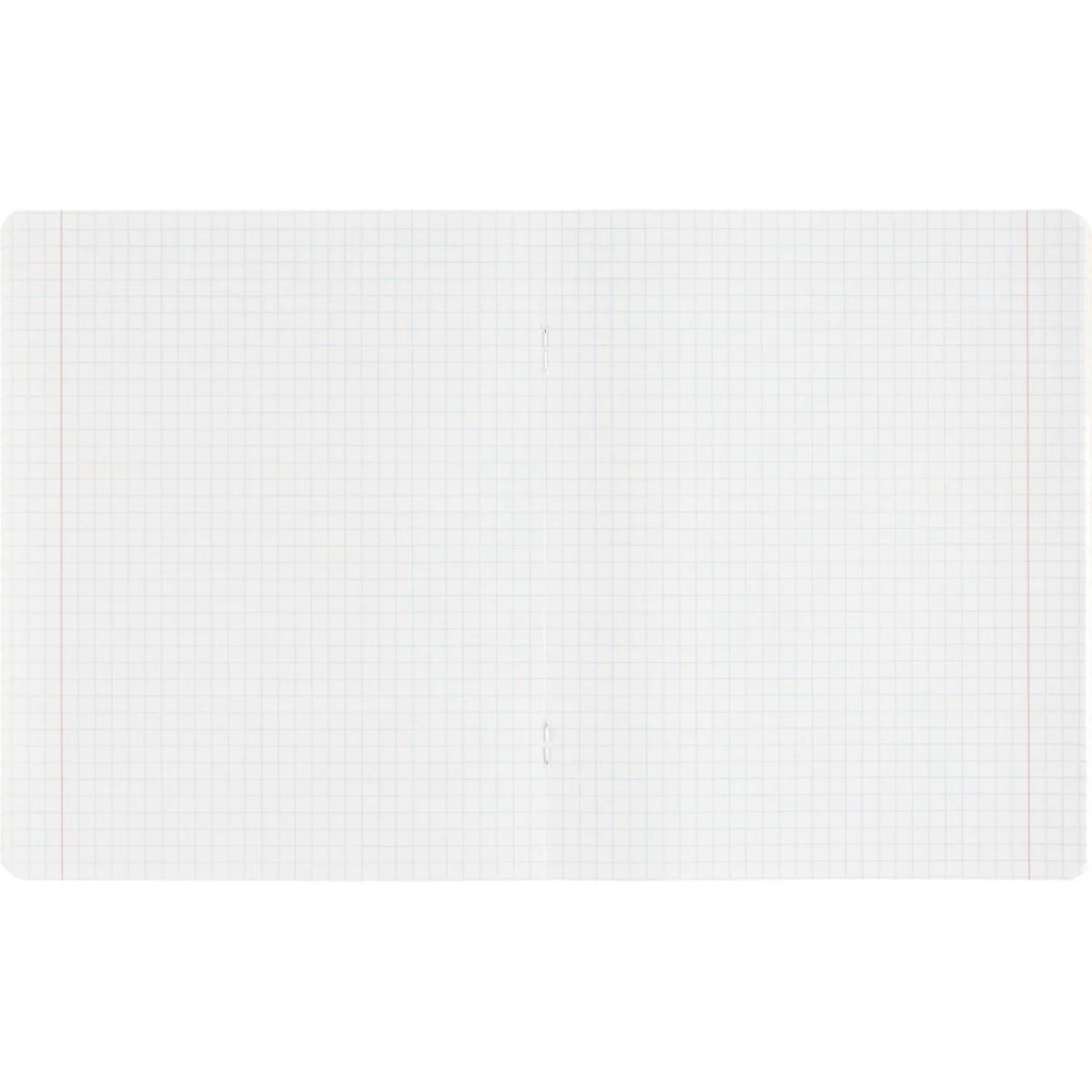 Тетрадь КЛЕТКА 18л. РАЗНЫЕ МЯЧИ-2 обл.-мел.карт,ассорти 18-4313