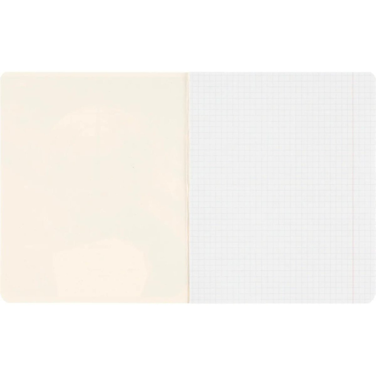 Тетрадь КЛЕТКА 18л. РАЗНЫЕ МЯЧИ-2 обл.-мел.карт,ассорти 18-4313