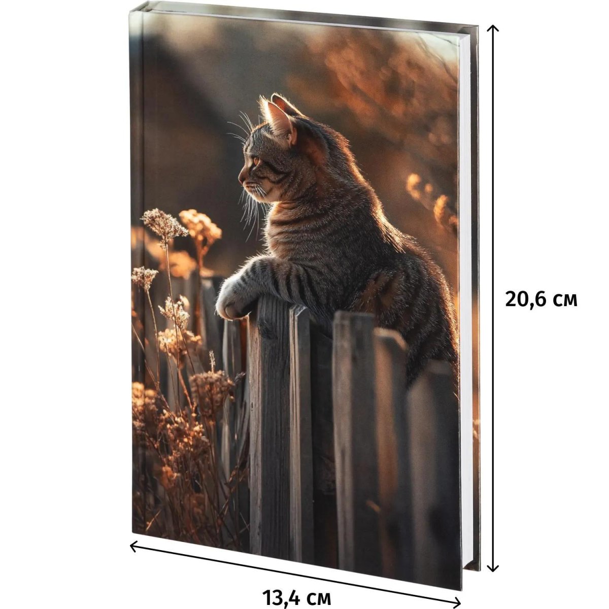 Ежедневник недатированный 7БЦ, пленка глянц., А5,128л, Выбор есть, Кошка