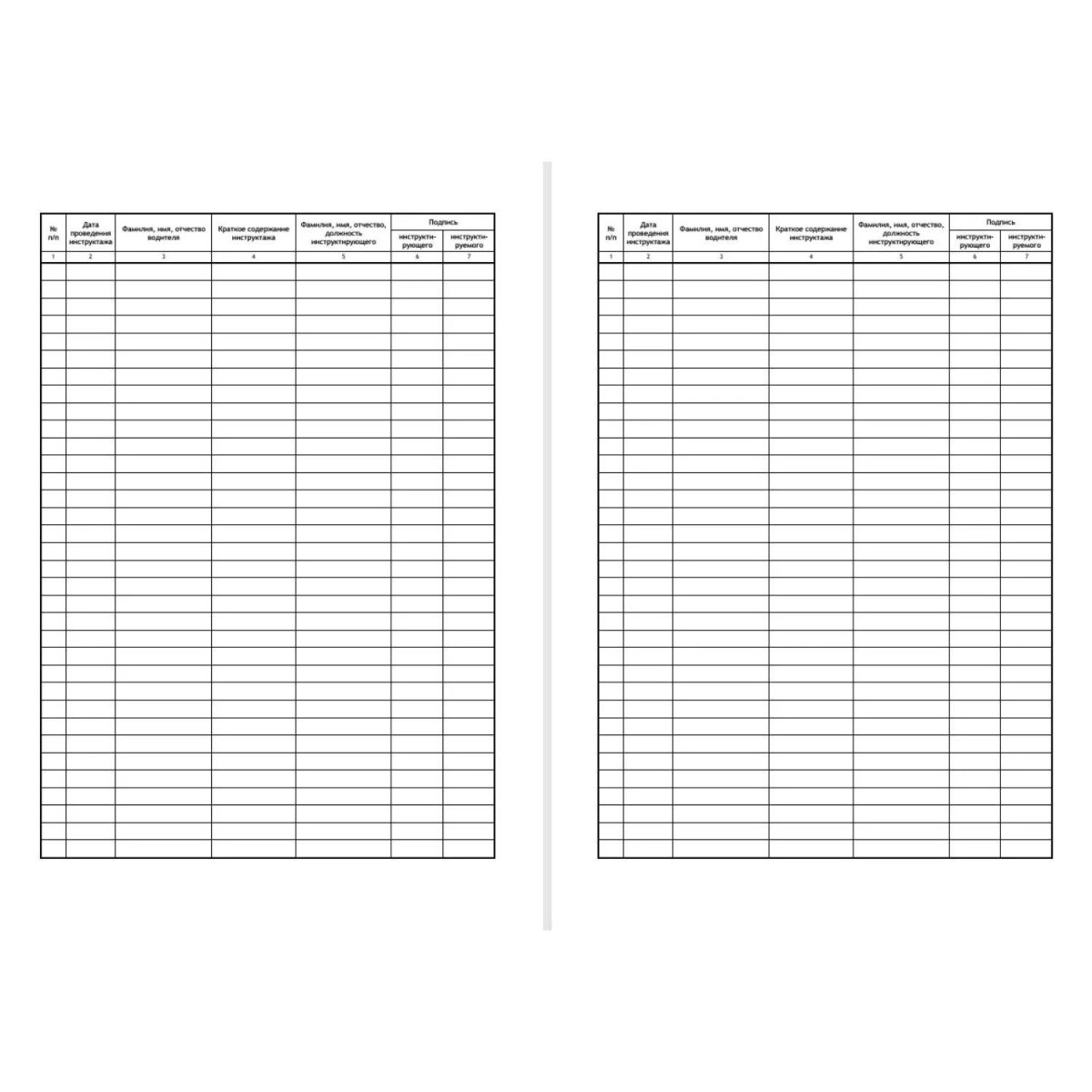 Журнал предрейсовых инструктажей водительского состава по БДД ТС006-Э
