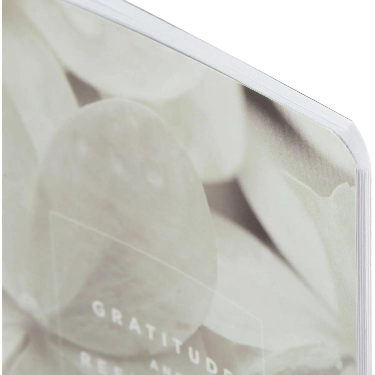 Блокнот BS, 130х210мм, 48л.,линейка, скрепка. Botanica, гортензия N4122