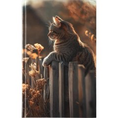 Ежедневник недатированный 7БЦ, пленка глянц., А5,128л, Выбор есть, Кошка