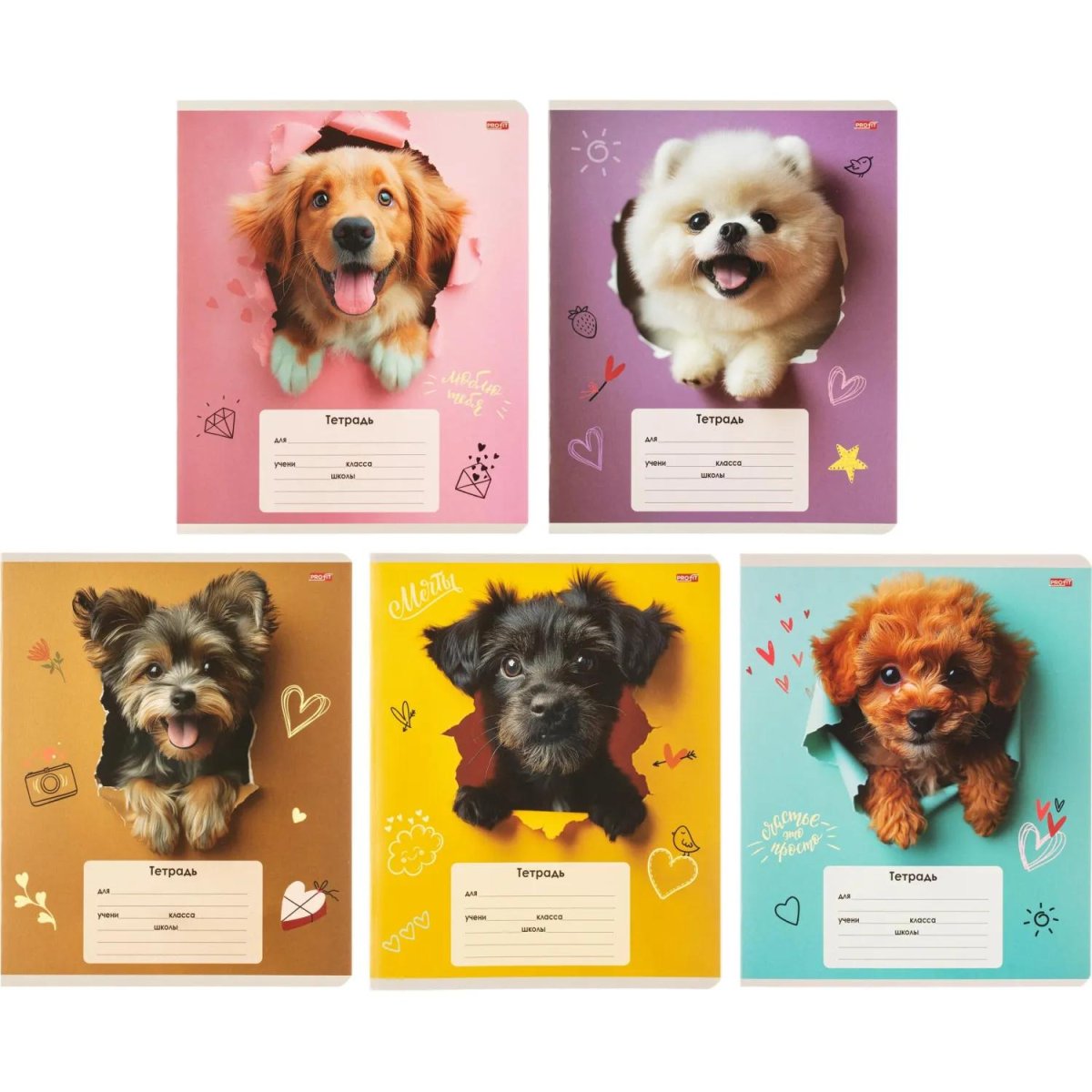 Тетрадь КЛЕТКА 18л. ОБАЯТЕЛЬНЫЕ ПЁСИКИ обл.-мелов.картон,ассорти 18-4310