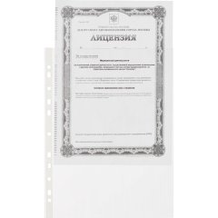 Файл-вкладыш А4 Attache Economy,Стандарт ,100шт./уп.с перф.Россия