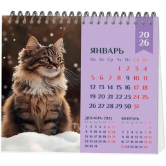 Календарь-домик настольный 2026 Atache, Котенок, 120х110