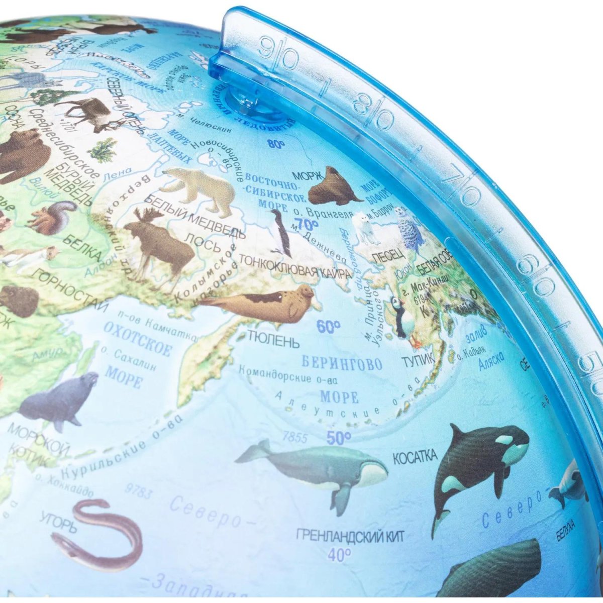 Глобус интерактивный зоогеографич с подсветк. и VR очками,250мм,INT12500306