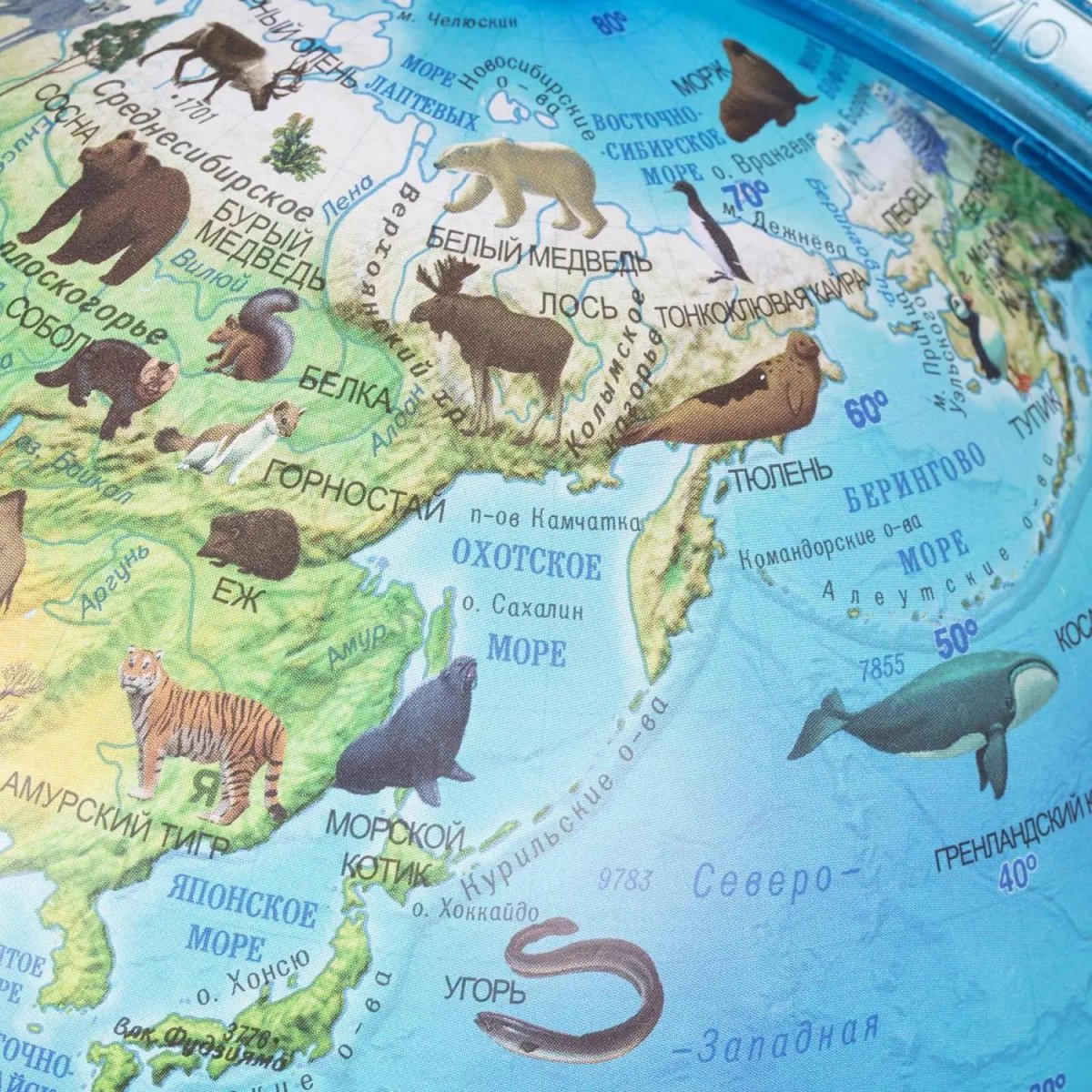 Глобус интерактивный зоогеографич с подсветк. и VR очками,250мм,INT12500306