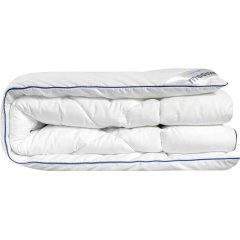 Одеяло 220x240 Swan Princess микроволокно 1014.00272