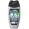Гель для душа Palmolive MEN Арктический ветер 250 мл
