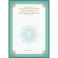 Сертификат-бумага А4, вертикальный бланк зел рамка,тиснение фольг 10 шт/уп