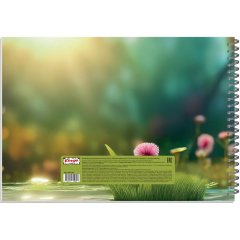 Альбом для рисования Комус Класс Милые животные, А4,40л,спираль, асс,2шт/уп