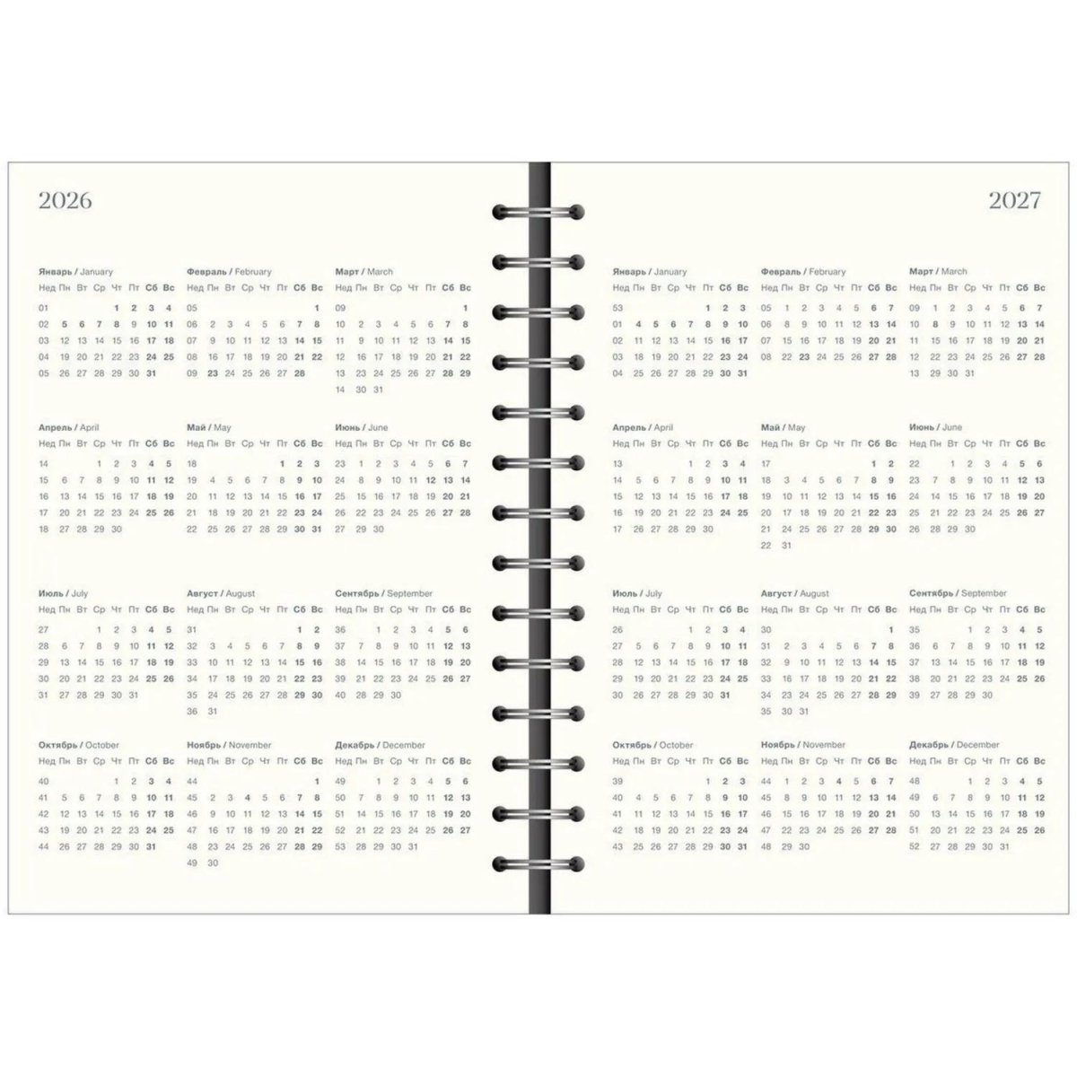 Ежедневник датированный 2026 IF 14х20см 160л, на спир, Basic I1751emb/blue