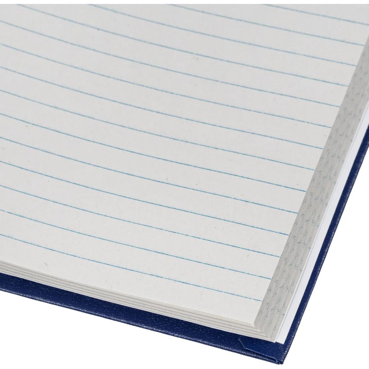 Книга учета Выбор есть А4 96л линейка блок типограф бумвинил