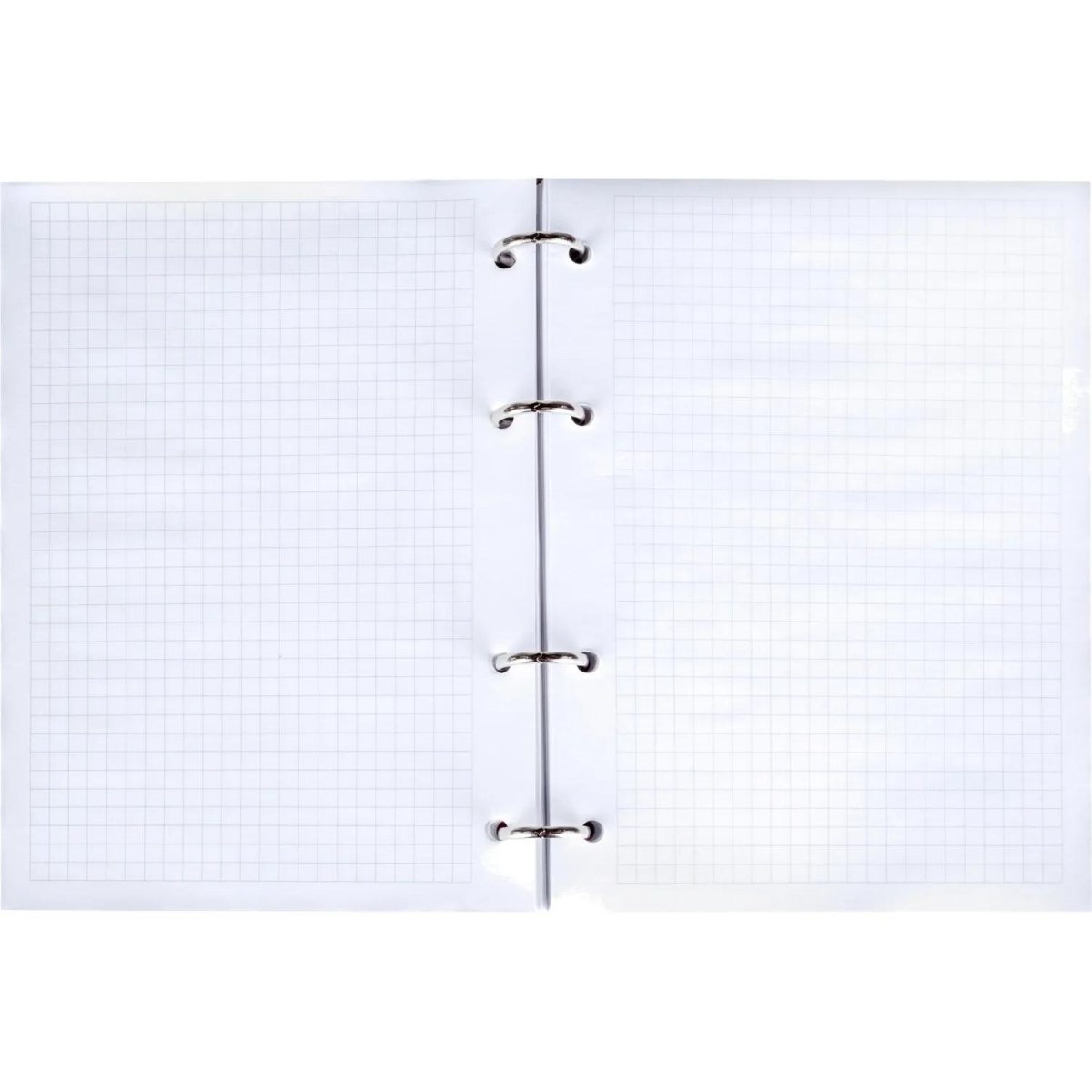 Тетрадь общая А5 120л клетка,кольца(смен.блок) Cats TSB5-120CT