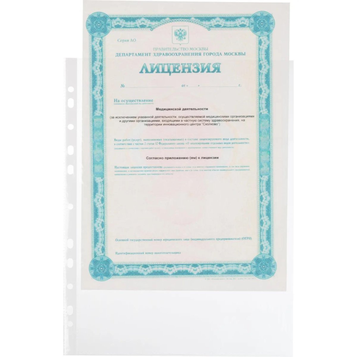 Файл-вкладыш А4 45 мкм Выбор есть Элементари, гладкий, с перф., 100шт/уп