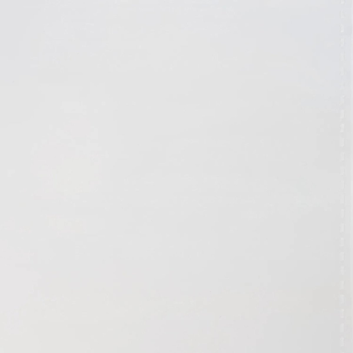 Файл-вкладыш А4 25 мкм, Выбор есть, гладкие, с перф, 100шт./уп