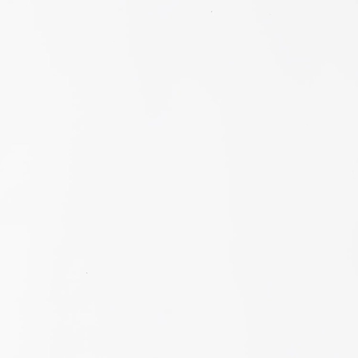 Файл-вкладыш А4 22-25мкм Выбор есть, гладкие, с перф, 100шт./уп