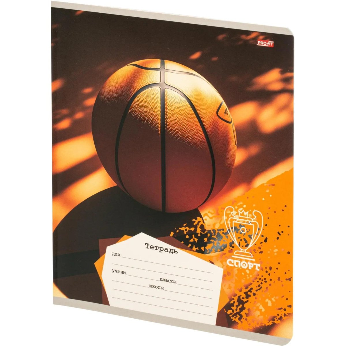 Тетрадь КЛЕТКА 18л. РАЗНЫЕ МЯЧИ-2 обл.-мел.карт,ассорти 18-4313