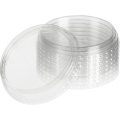 Крышка для стакана d95мм плоская без отверстия ПЭТ 1000шт/кор