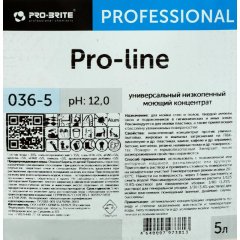 Профхим интерьер д/уборки,д/пластика Pro-Brite/Pro-line,5л