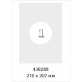 Этикетки самоклеящиеся  Серебристые, 210x297мм,А4, 20л.уп