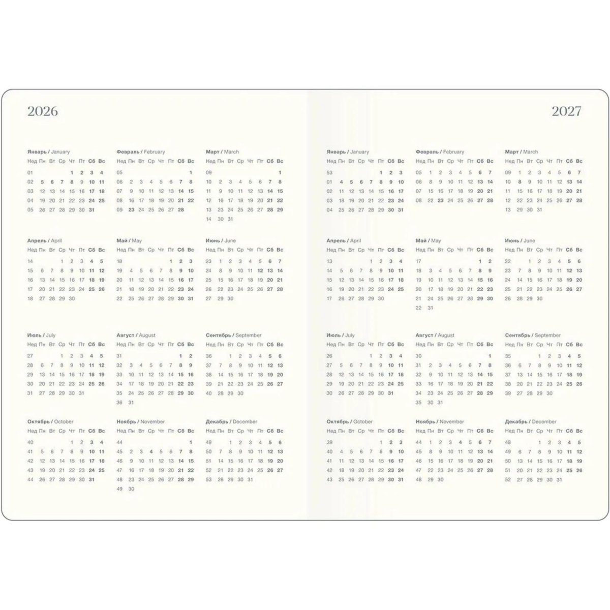 Ежедневник датированный 2026 IF 14х20см 176л, интегр Fortune I1723/black