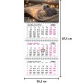 Календарь настенный 3-х блочный 2026 Трио Стандарт,305х675,Рыж. Джентельмен