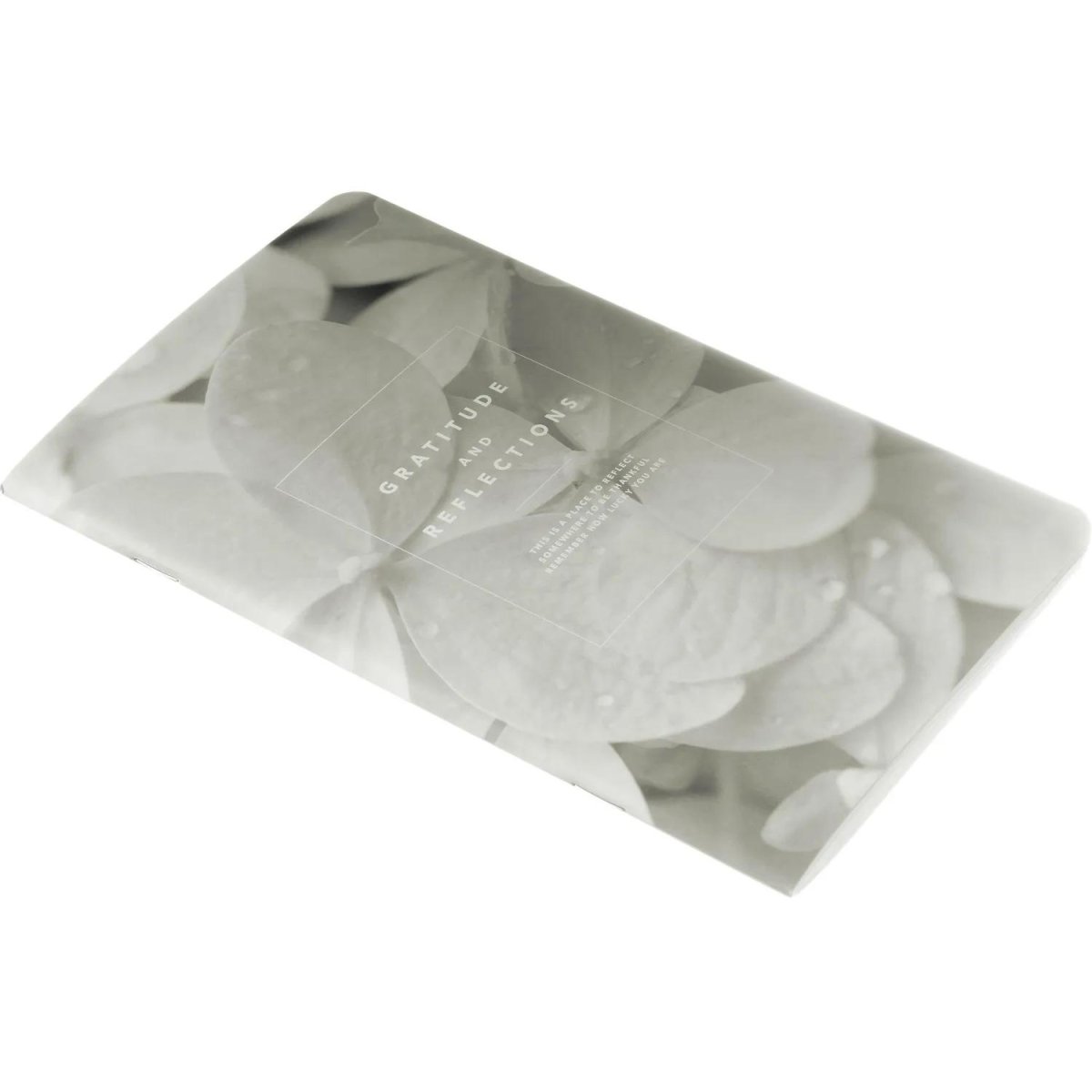 Блокнот BS, 130х210мм, 48л.,линейка, скрепка. Botanica, гортензия N4122