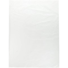 Пакет фасовочный ПНД 24х37 12 мкм 500шт/уп прозрач