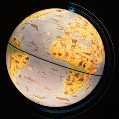 Глобус интерактивный зоогеографич с подсветк. и VR очками,250мм,INT12500306