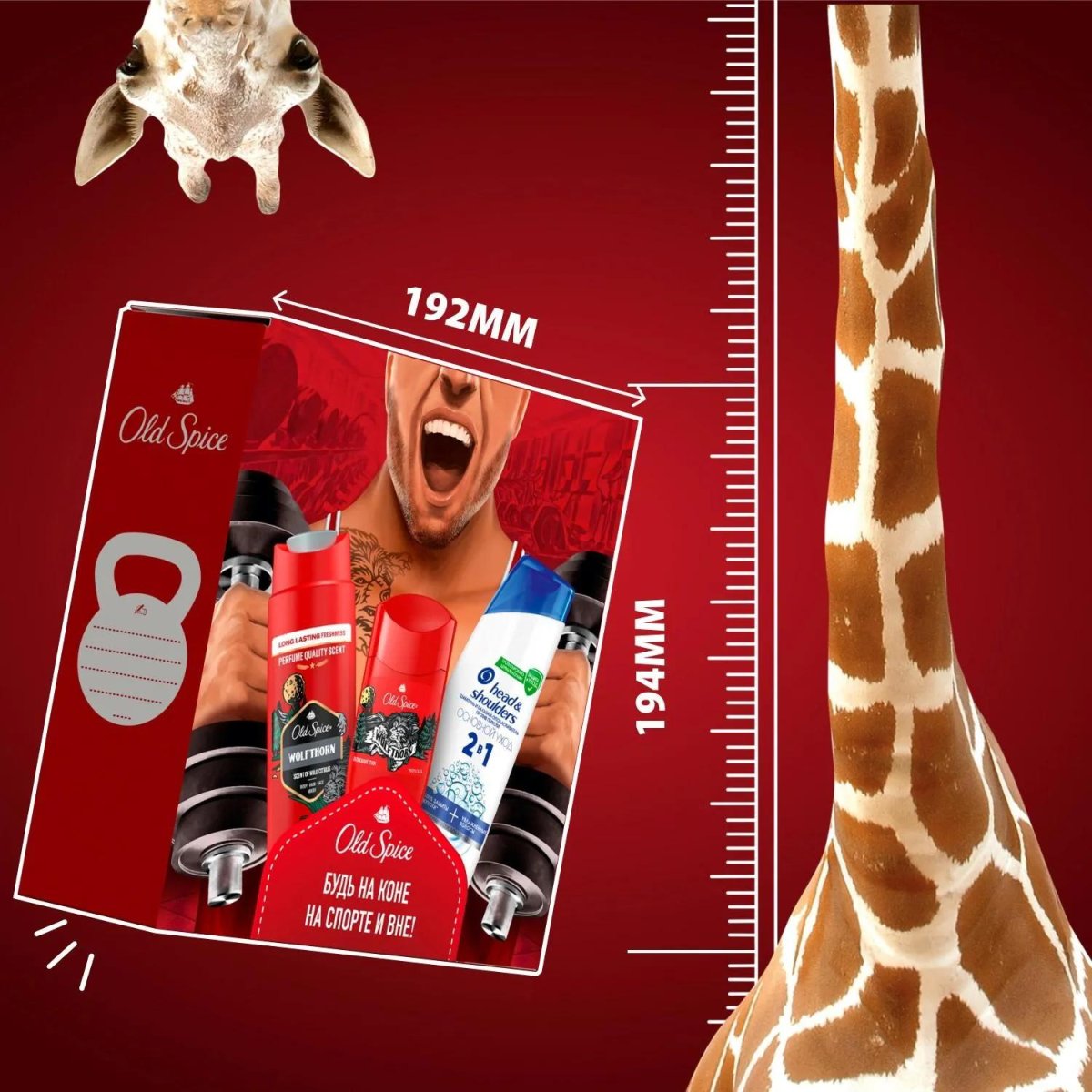 Подарочный набор Old Spice ТвДезод50+Гельд/д+шмп250+Шмп и блз 2в1 ОснУх200