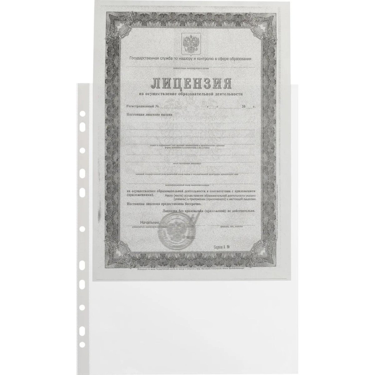 Файл-вкладыш А4, 40мкм, Attache, с перфорацией, гладкий 100 шт/уп