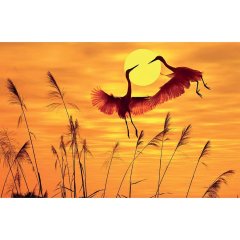 Календарь настенный 3-х блочный 2026 Attache, 305х675, Журавли, 80г