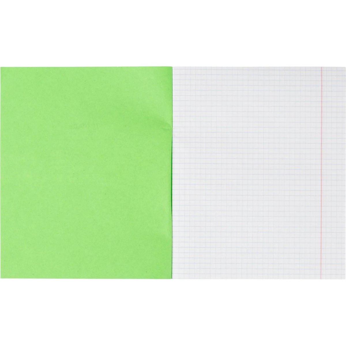 Тетрадь в зеленом офсете 18л, клетка уп. по 20 шт./запайка, 100% белизна