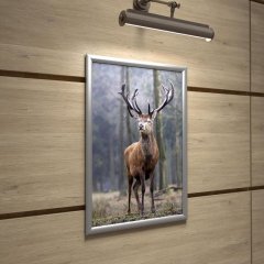 Рамка А2 Attache, алюм.клик-профиль 25 мм, настенная